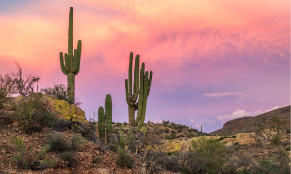 Hiring Strategies - CB and Associates, Inc - western landscape