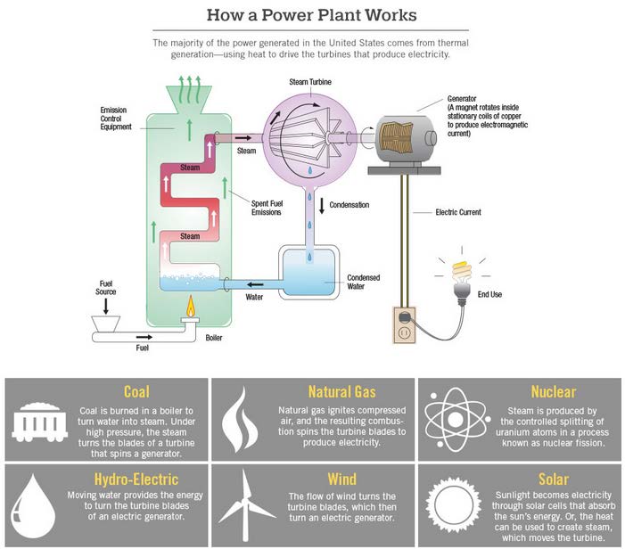 Diagram shows how power plants generate electricity from fuel sources like coal, natural gas, nuclear, hydro, wind, and solar